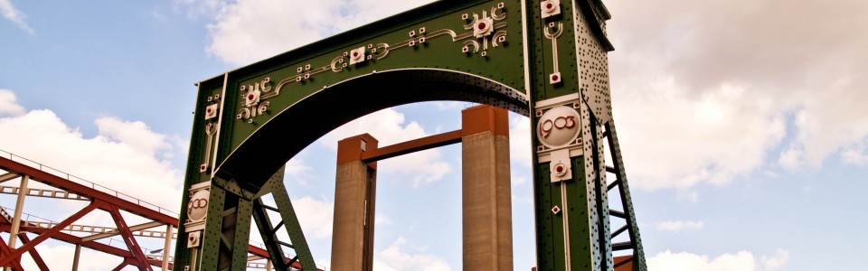 cropped debrug