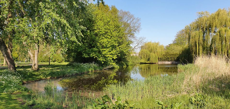 park spijkenisse nissewaard voorne putten 2